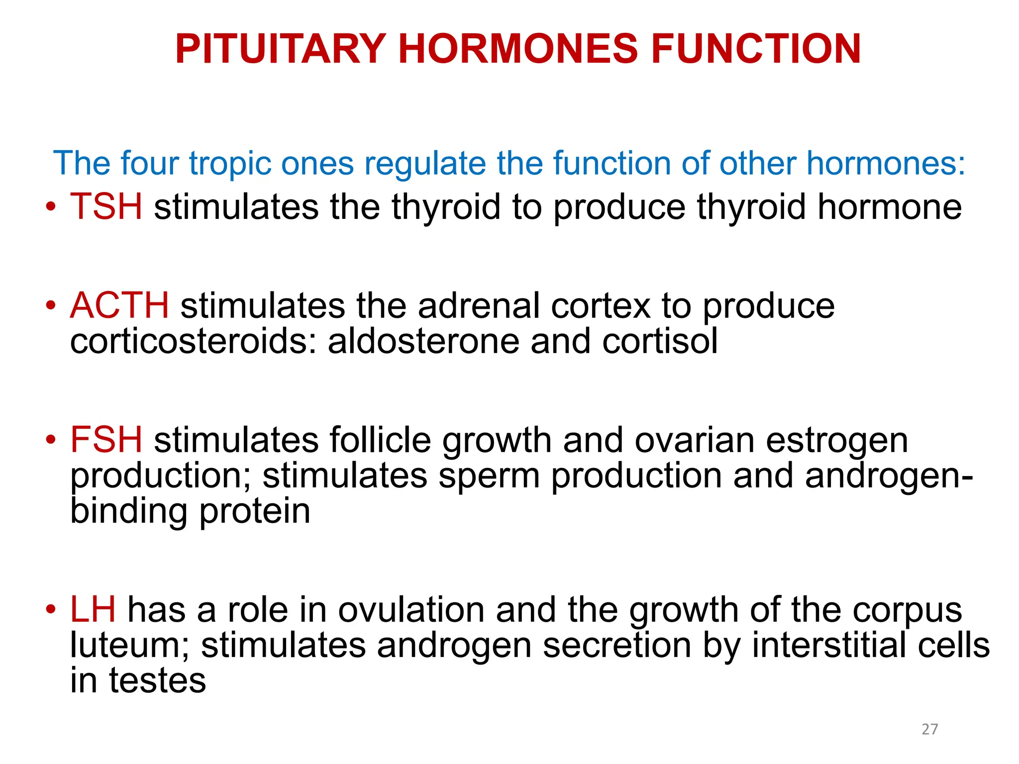 PITUITARY HORMONES FUNCTION
• TSH stimulates the thyroid to produce thyroid hormone
• ACTH stimulates the adrenal cortex to produce
corticosteroids: aldosterone and cortisol
• FSH stimulates follicle growth and ovarian estrogen
production; stimulates sperm production and androgen-
binding protein
• LH has a role in ovulation and the growth of the corpus
luteum; stimulates androgen secretion by interstitial cells
in testes
The four tropic ones regulate the function of other hormones:
27
 