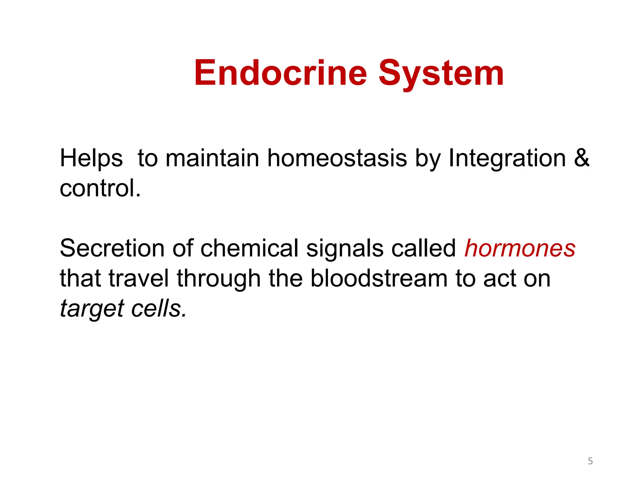 Endocrine System
Helps to maintain homeostasis by Integration &
control.
Secretion of chemical signals called hormones
that travel through the bloodstream to act on
target cells.
5
 