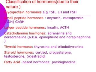 Introduction to Endocrinology | PDF