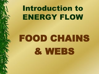 Introduction to
ENERGY FLOW

FOOD CHAINS
  & WEBS
 