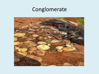 Conglomerate
 