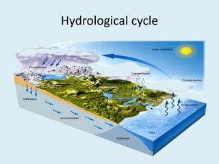 Hydrological cycle
 