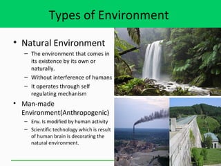 ecology and ecosystem difference