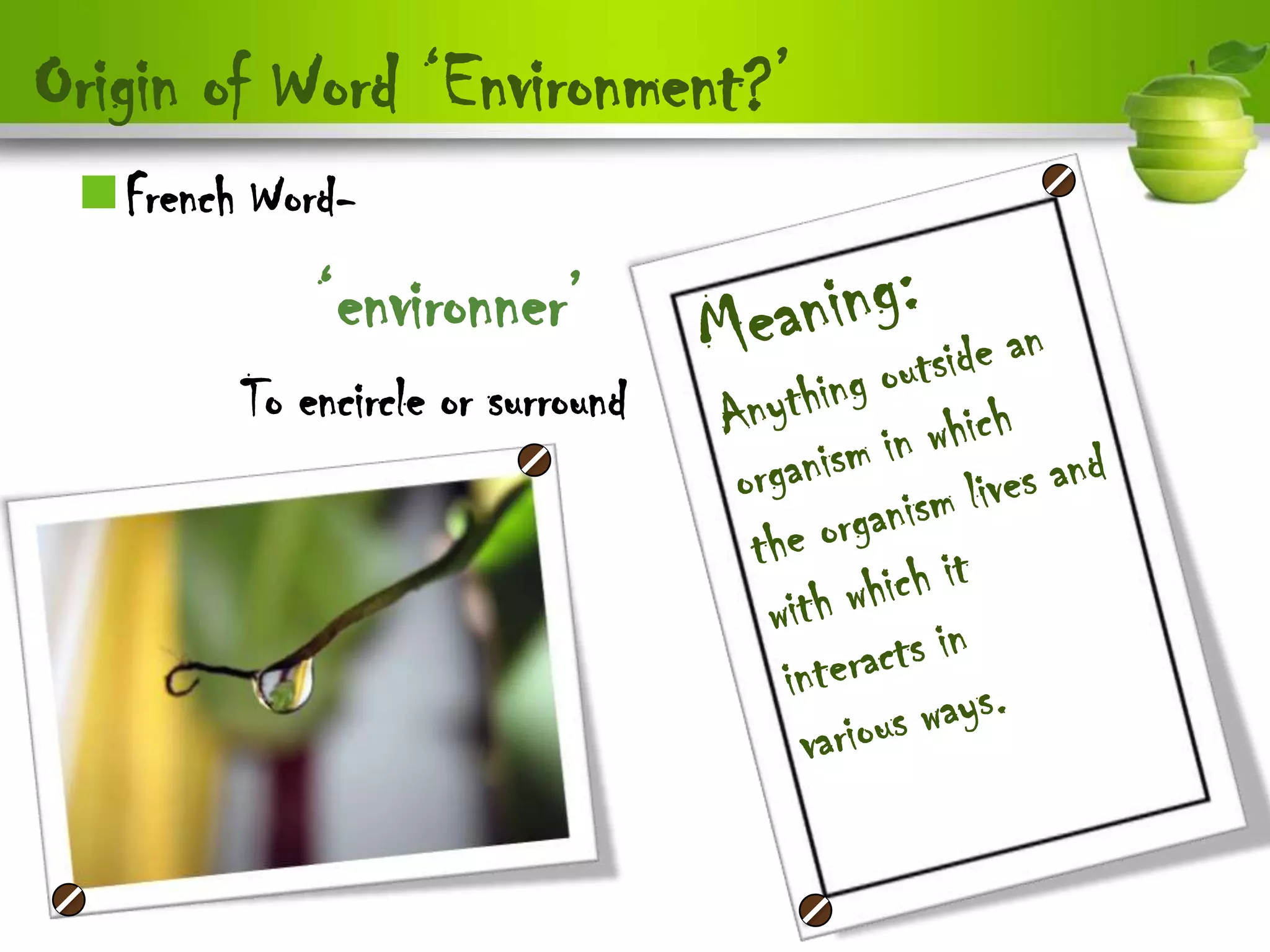 Origin of Word „Environment?‟
 French Word-
            „environner‟
        To encircle or surround
 