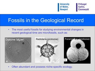 Fossils in the Geological RecordThe most useful fossils for studying environmental changes in recent geological time are microfossils, such as: