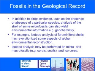 Often abundant and possess niche-specific ecology.Foraminifera (protozoa)Radiolaria (protozoa)Diatoms (algae)