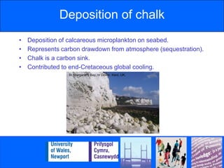Deposition of chalkDeposition of calcareous microplankton on seabed. Represents carbon drawdown from atmosphere (sequestration).Chalk is a carbon sink.Contributed to end-Cretaceous global cooling.St. Margaret’s Bay, nr Dover, Kent, UK.