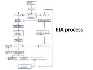 EIA process
 