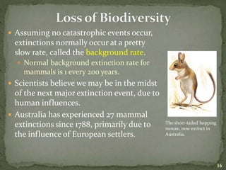  Assuming no catastrophic events occur,
extinctions normally occur at a pretty
slow rate, called the background rate.
 Normal background extinction rate for
mammals is 1 every 200 years.
 Scientists believe we may be in the midst
of the next major extinction event, due to
human influences.
 Australia has experienced 27 mammal
extinctions since 1788, primarily due to
the influence of European settlers.
The short-tailed hopping
mouse, now extinct in
Australia.
16
 
