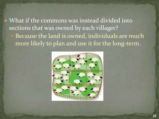  What if the commons was instead divided into
sections that was owned by each villager?
 Because the land is owned, individuals are much
more likely to plan and use it for the long-term.
28
 