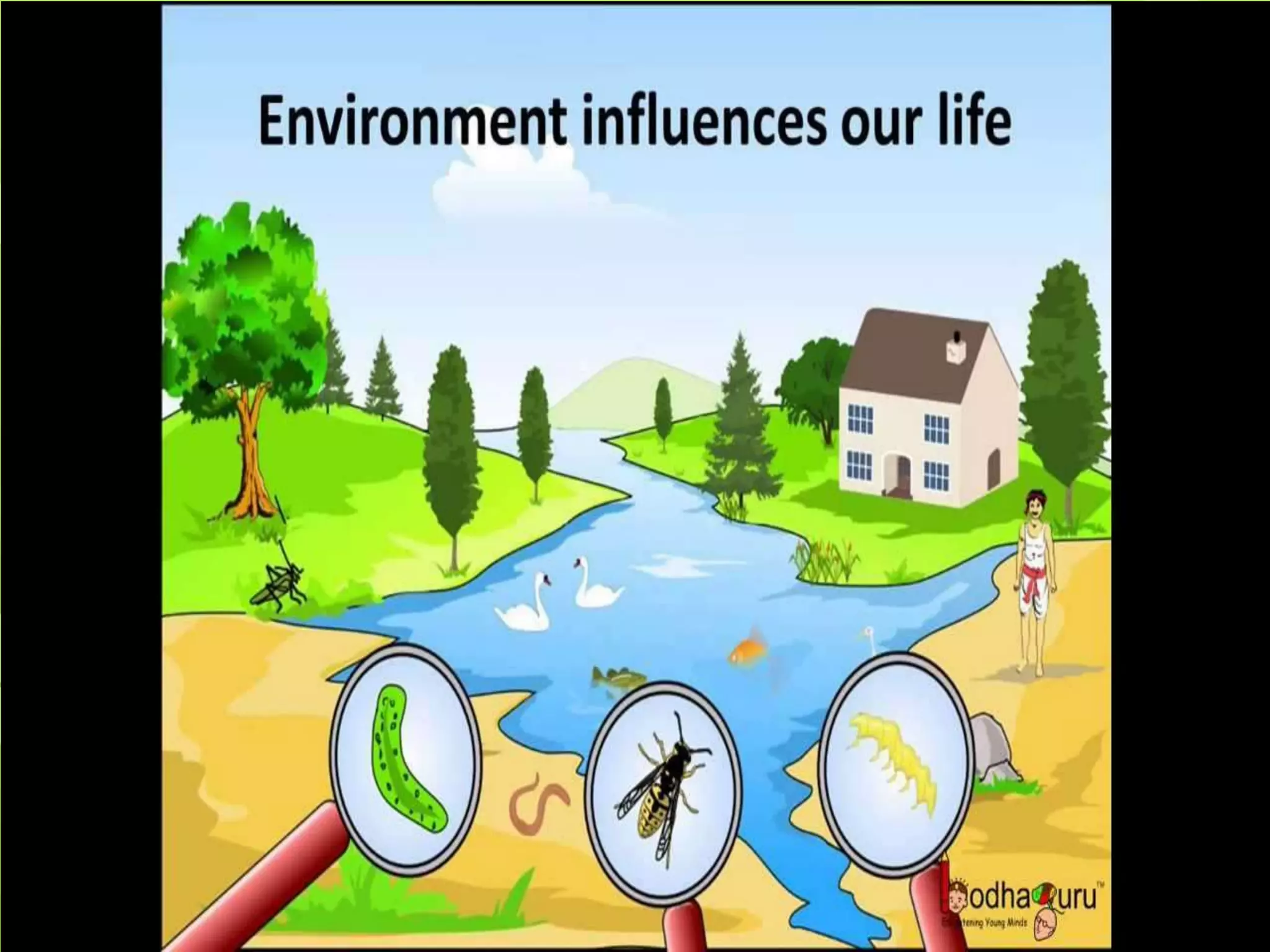 Introduction to environment and environmental studies