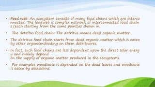 • Food web: An ecosystem consists of many food chains which are interco
nnected. The foodweb is complex network of interconnected food chain
s (each starting from the same point)as shown in.
• The detritus food chain: The detritus means dead organic matter.
• The detritus food chain starts from dead organic matter which is eaten
by other organismsfeeding on them detritivores.
• In fact, such food chains are less dependent upon the direct solar energ
y and mainly depend
on the supply of organic matter produced in the ecosystems.
• For examples woodlouse is depended on the dead leaves and woodlouse
is eaten by ablackbird.
 
