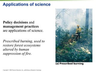 Applications of science Policy decisions  and  management practices   are applications of science. Prescribed burning, used to restore forest ecosystems altered by human suppression of fire. 
