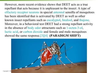 However, more recent evidence shows that DEET acts as a true repellant that acts because it is unpleasant to the insect: A type of  olfactory receptor neurons  in special  antennal  sensilla of mosquitoes has been identified that is activated by DEET as well as other known insect repellants such as  eucalyptol ,  linalool , and  thujone . Moreover, in a behavioral test DEET had a strong repellant activity in the absence of  body odor  attractants such as  1-octen-3-ol ,  lactic acid , or  carbon dioxide  and female and male mosquitoes showed the same response. [3] [4]   (PARADIGM SHIFT) 