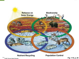 Fig. 1-16, p. 24 Reliance on Solar Energy Population Control Nutrient Recycling Biodiversity 