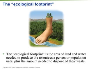 The “ecological footprint” The “ecological footprint” is the area of land and water needed to produce the resources a person or population uses, plus the amount needed to dispose of their waste. 