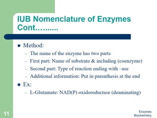 Introduction to enzymes (Biochemistry)