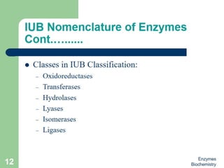 Introduction to enzymes (Biochemistry)
