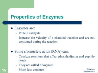 Introduction to enzymes (Biochemistry)