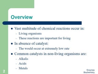 Introduction to enzymes (Biochemistry)