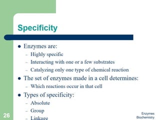 Introduction to enzymes (Biochemistry)