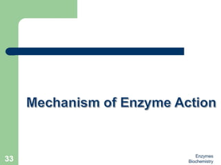 Introduction to enzymes (Biochemistry)