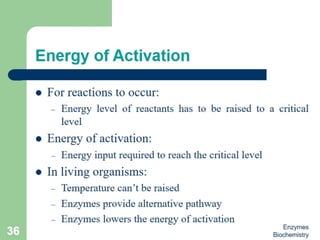 Introduction to enzymes (Biochemistry)