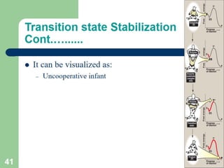 Introduction to enzymes (Biochemistry)