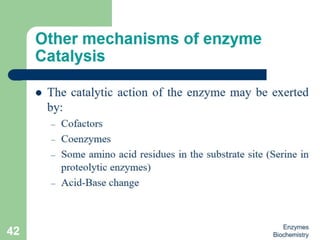 Introduction to enzymes (Biochemistry)