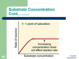 Introduction to enzymes (Biochemistry)