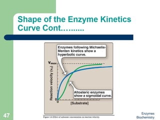 Introduction to enzymes (Biochemistry)