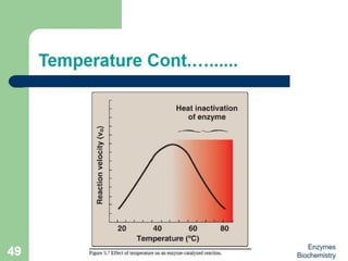 Introduction to enzymes (Biochemistry)
