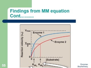 Introduction to enzymes (Biochemistry)