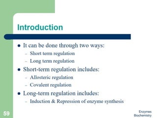 Introduction to enzymes (Biochemistry)
