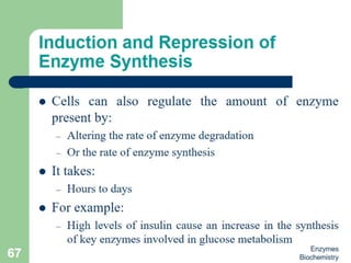 Introduction to enzymes (Biochemistry)