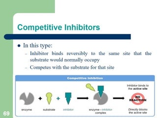 Introduction to enzymes (Biochemistry)