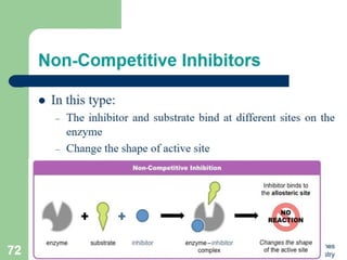 Introduction to enzymes (Biochemistry)