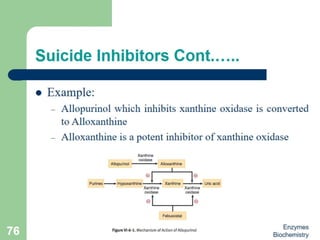 Introduction to enzymes (Biochemistry)