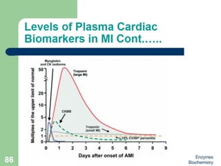 Introduction to enzymes (Biochemistry)