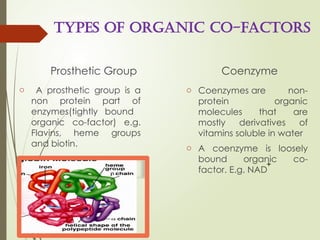 Prosthetic Group Examples Introduction to enzymes and their classes | PPTX