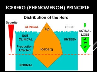 ICEBERG (PHENOMENON) PRINCIPLE
 