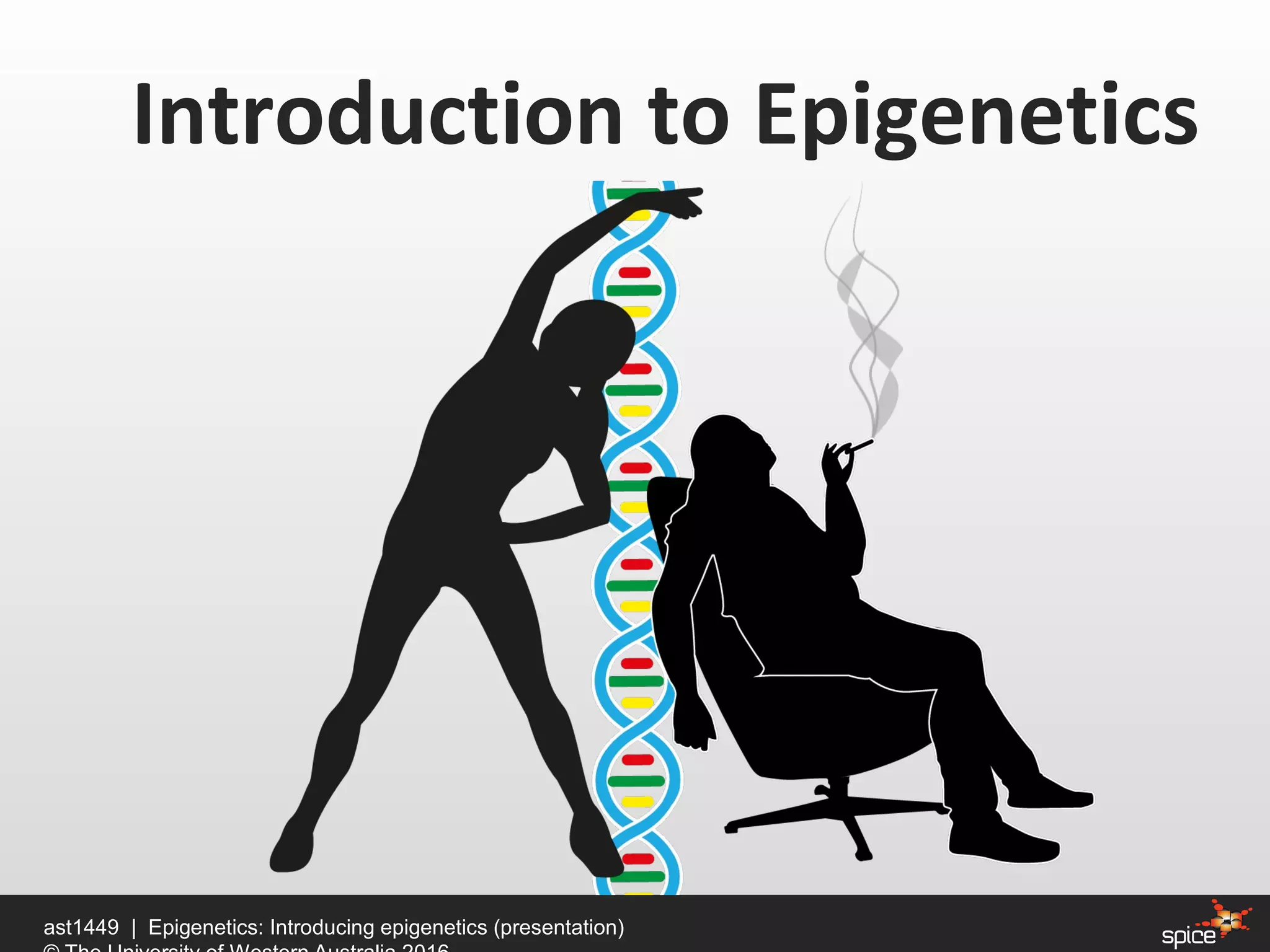 Introduction to Epigenetics
ast1449 | Epigenetics: Introducing epigenetics (presentation)
 