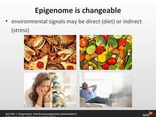 • environmental signals may be direct (diet) or indirect
(stress)
Epigenome is changeable
ast1449 | Epigenetics: Introducing epigenetics (presentation)
 