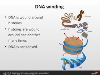 • DNA is wound around
histones
• histones are wound
around one another
many times
• DNA is condensed
DNA winding
ast1449 | Epigenetics: Introducing epigenetics (presentation)
 