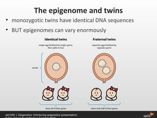 • monozygotic twins have identical DNA sequences
• BUT epigenomes can vary enormously
ast1449 | Epigenetics: Introducing epigenetics (presentation)
The epigenome and twins
 