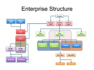 Enterprise Structure
 