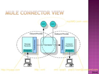 http://myapp.com pop3://user@userland.comhttp→xml xml→pop3
myUMO (xml→xml)
[Mule]
 