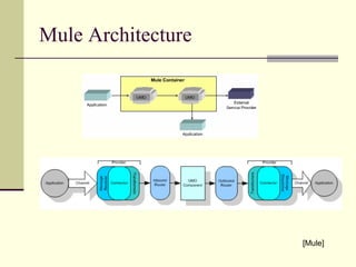 Mule Architecture
[Mule]
 