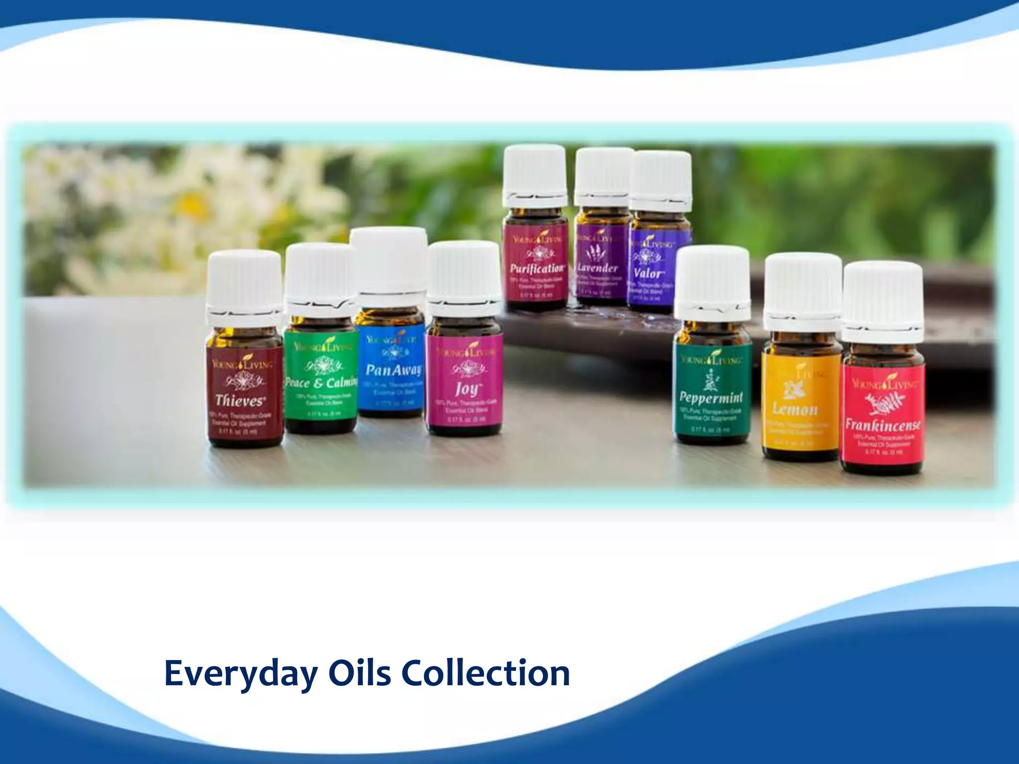 Everyday Oils Collection 
 
