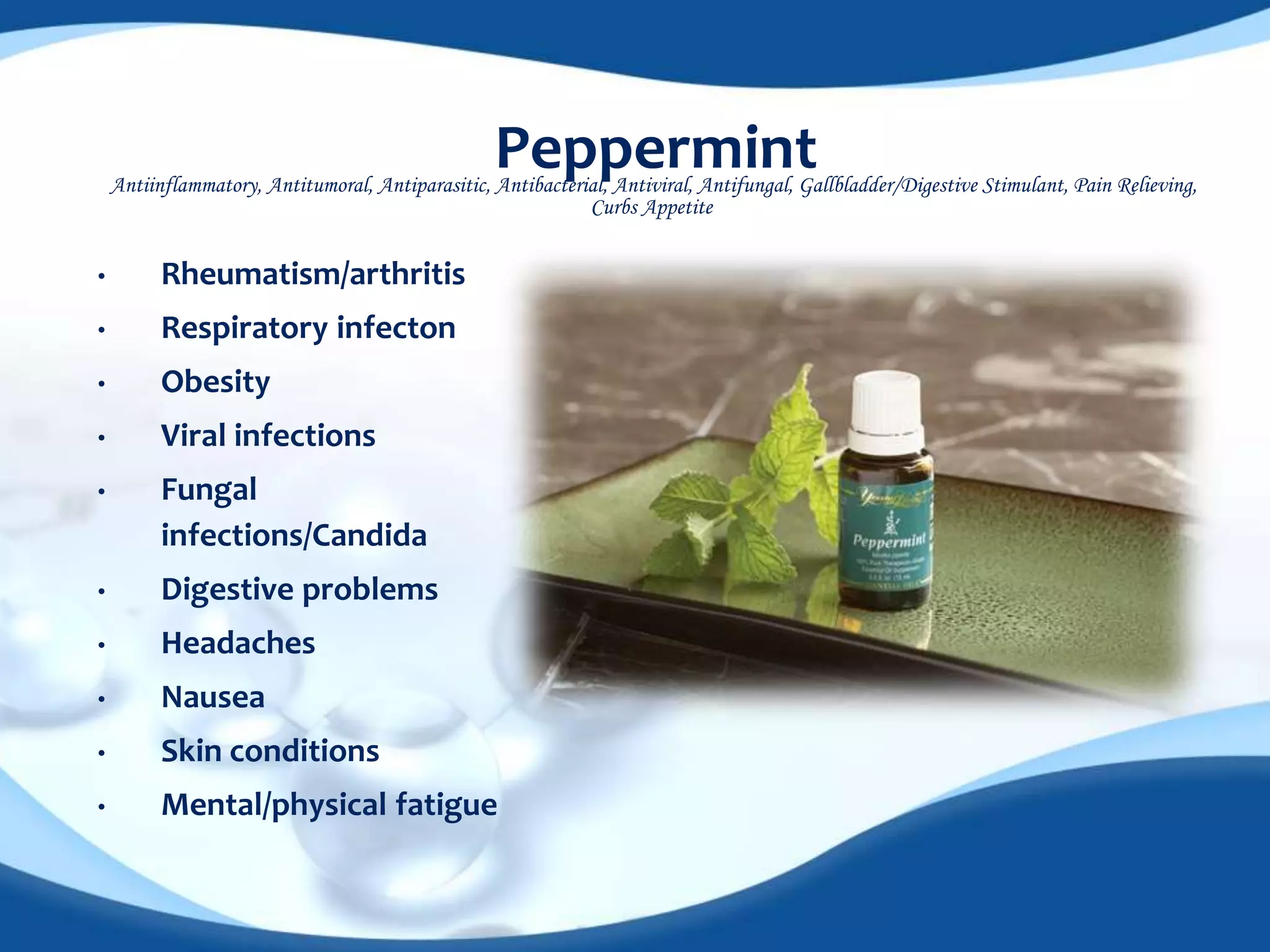Peppermint 
Antiinflammatory, Antitumoral, Antiparasitic, Antibacterial, Antiviral, Antifungal, Gallbladder/Digestive Stimulant, Pain Relieving, 
• Rheumatism/arthritis 
• Respiratory infecton 
• Obesity 
• Viral infections 
• Fungal 
infections/Candida 
• Digestive problems 
• Headaches 
• Nausea 
• Skin conditions 
• Mental/physical fatigue 
Curbs Appetite 
 